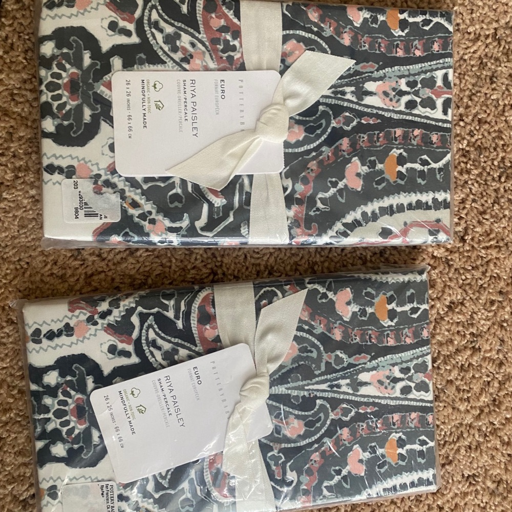 Pottery barn Riya euro sham